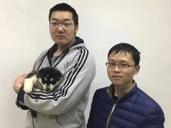 上海长宁区流浪狗流浪猫小动物宠物救助领养收容收养中心站