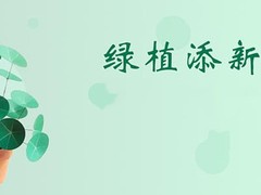 聊城园林养护