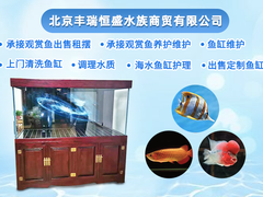 北京鱼缸清洗