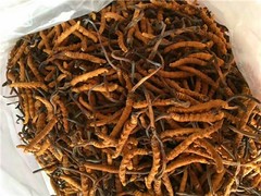 成都回收茅台酒