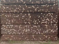 钦州市钦南区钢管扣件租赁站