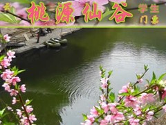诚志天鸿
