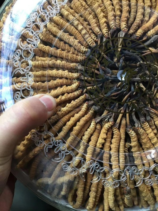上門回收各種酒水煙酒禮品