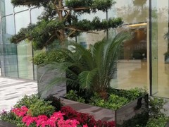 深圳市语花香园艺有限公司