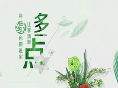 东莞花卉出售