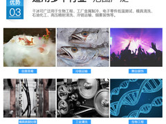 上海东琳降温食用大冰块厂
