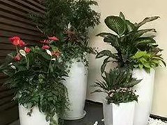 重庆绿香源园林有限公司