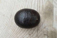 私人老板常年收购鸡宝、羊宝、牛宝、珠宝