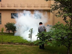 大连瑞德有害生物防治公司