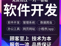 临沂系统软件开发