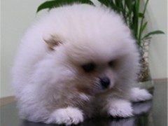 一生所爱