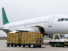 玉环DHL-玉环DHL国际快递电话-玉环DHL取件电话