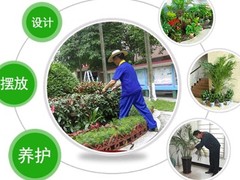 苏州绿植租赁