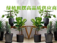 苏州绿植租赁
