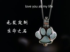 大连宠物标本制作