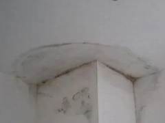 防水补漏