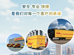沈河DHL