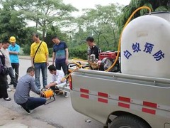佛山白蚁防治所
