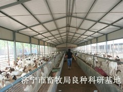 板芙欠款律师