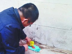绵阳灭鼠公司