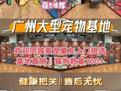 广州博爱犬舍
