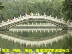 誠(chéng)志天鴻