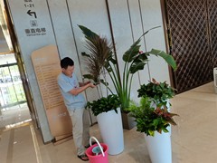 海南尚谷植颜园林景观有限公司