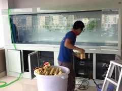 大邑喜迁搬家公司
