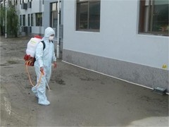 宁波灭蟑螂公司