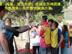 誠志天鴻