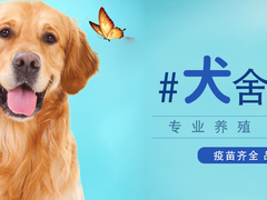 风凌犬业