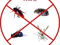 潍坊杀虫灭鼠公司