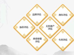 成都资产评估公司