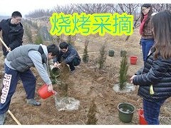 誠志天鴻