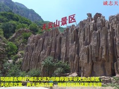 誠(chéng)志天鴻
