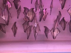 南京碧海水族