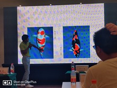 沈阳别墅庭院设计施工