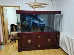 北京魚缸維護(hù)