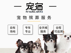 宠爱多环保科技有限公司