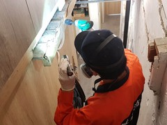 无锡24小时上门灭蟑螂