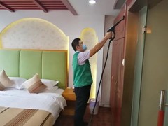 皇苹果除甲醛公司