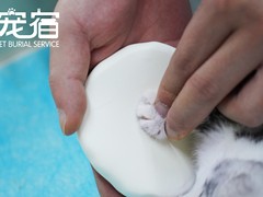 宠爱多环保科技有限公司