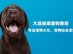 大连宠物标本制作
