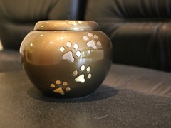 北京寵物火化