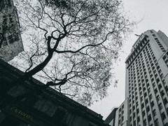 南宁策划公司