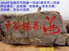 誠(chéng)志天鴻