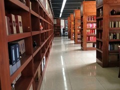 河南大果转租网1