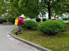 沈阳园林设计公司