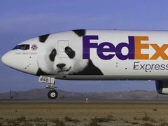 政和DHL