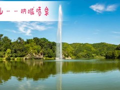 誠志天鴻